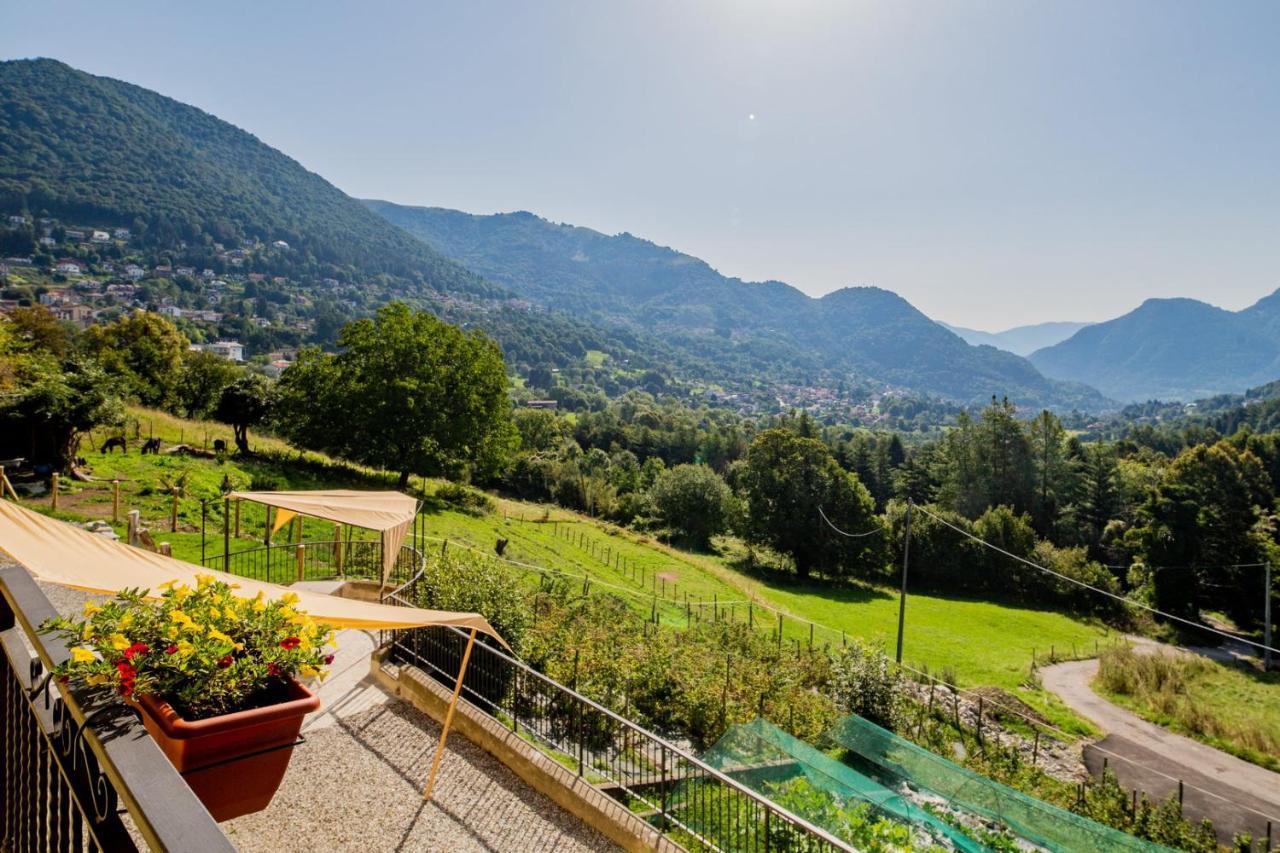 Agriturismo La Cascina B&B ซาน เฟเดเล อินเตลวี ภายนอก รูปภาพ